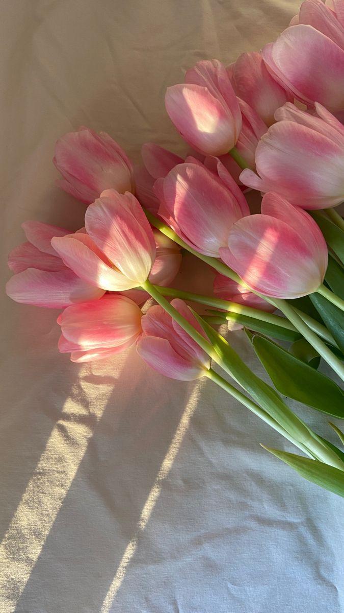 Vintage Mosaic: Timeless Elegance of Pastel Petals