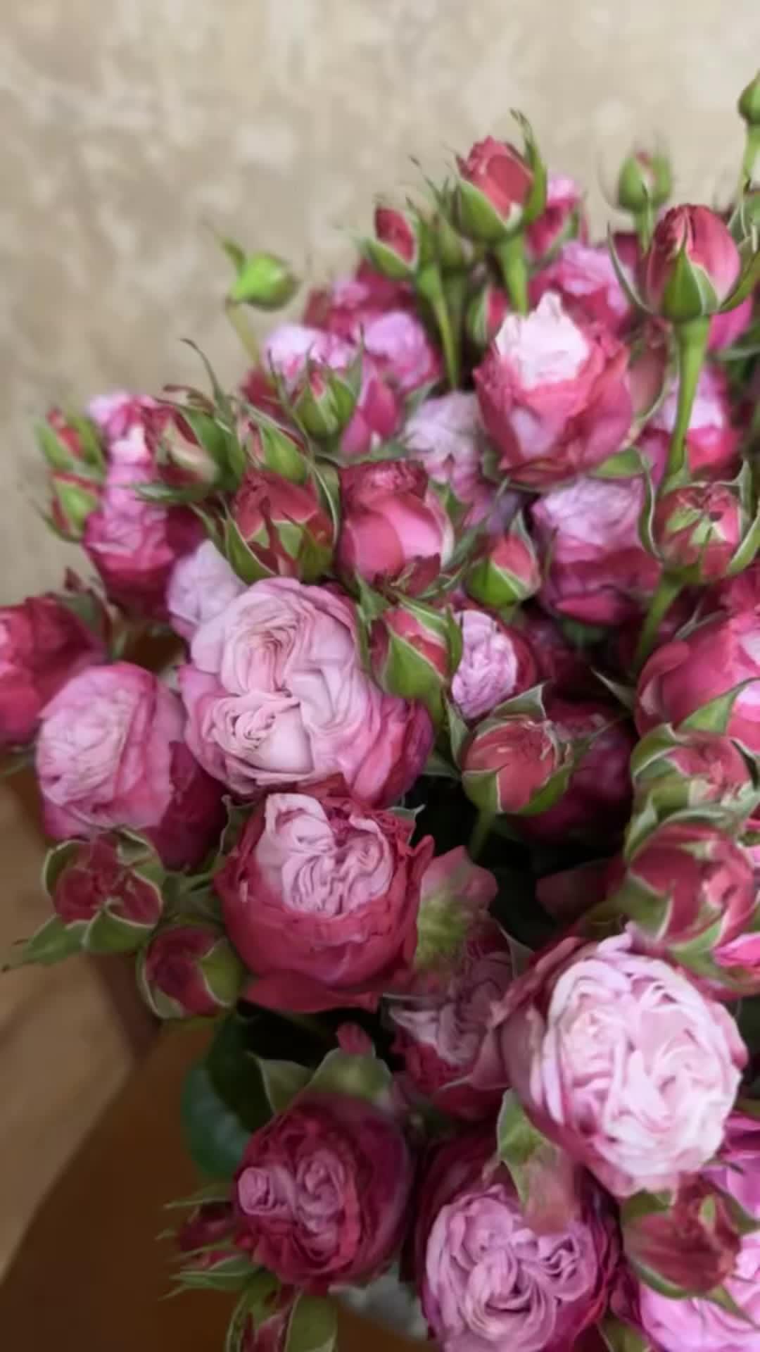Crimson Embrace: Velvet Roses Entwined Bouquet